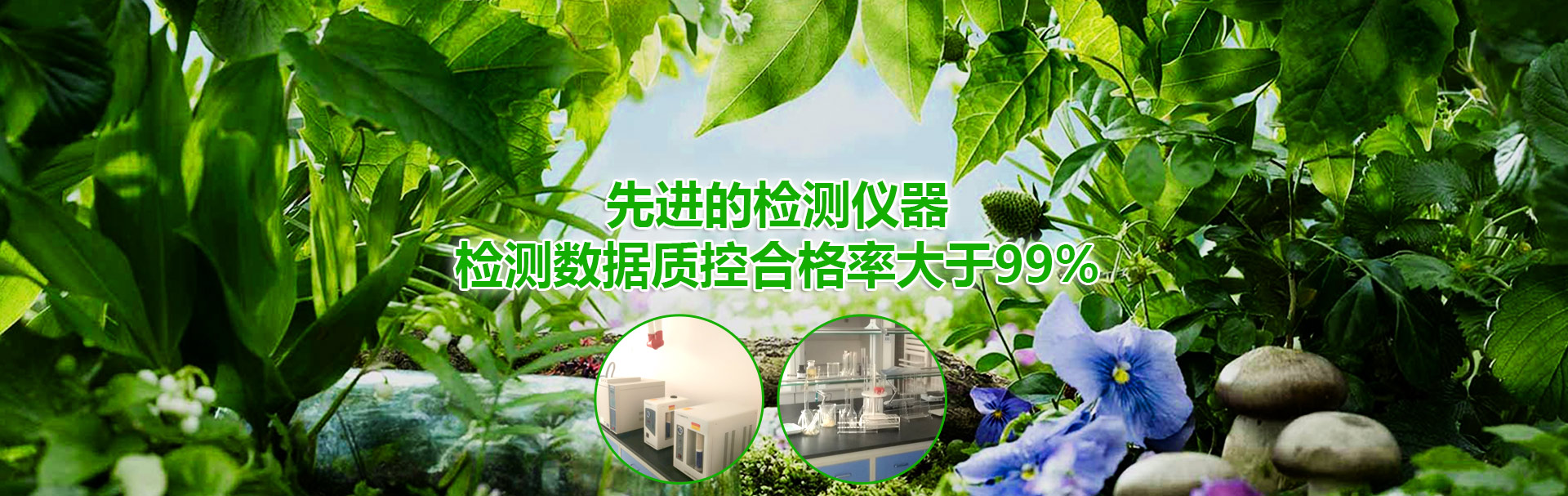 綠色田園，從“根”開始——專業(yè)土壤治理，守護(hù)每一寸耕地(圖3)